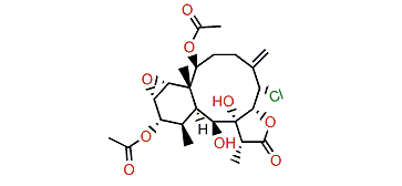 Solenolide B